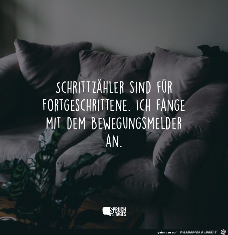 Schrittzaehler Schrittzaehler