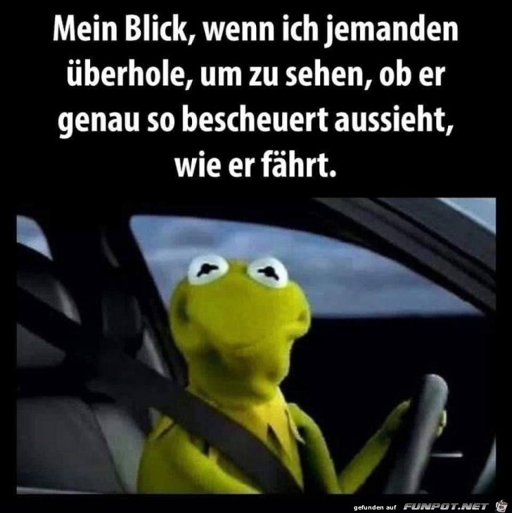 mein Blick