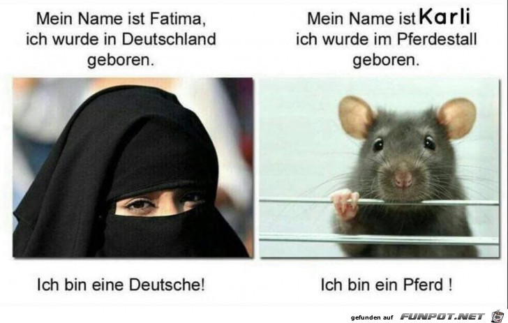 mein Name ist Fatima mein Name ist Fatima