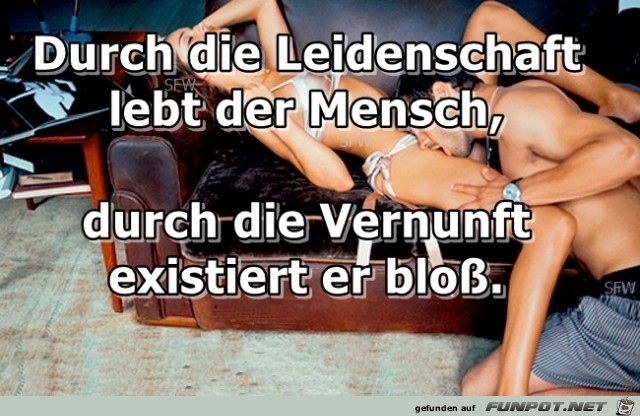 die Leidenschaft die Leidenschaft