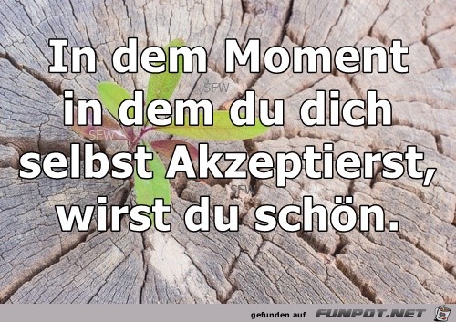 in dem Moment in dem Moment