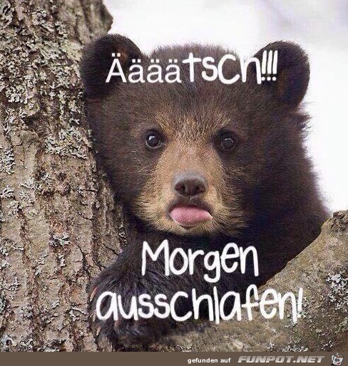 Ätsch Ätsch