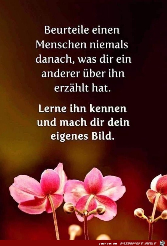 Nur so funktioniert es Nur so funktioniert es