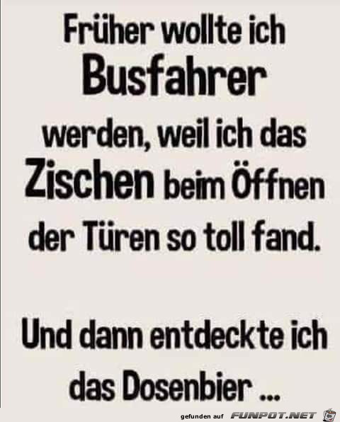 Früher wollte ich Busfahrer werden Früher wollte ich Busfahrer werden