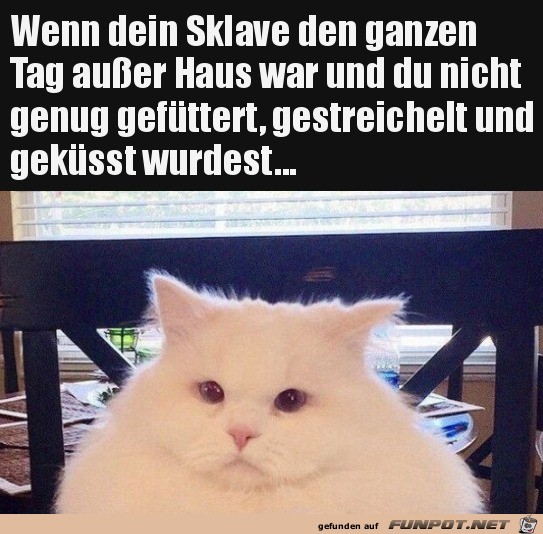 Dieser Blick Dieser Blick