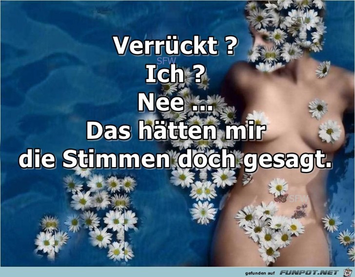 VerruecktIch VerruecktIch