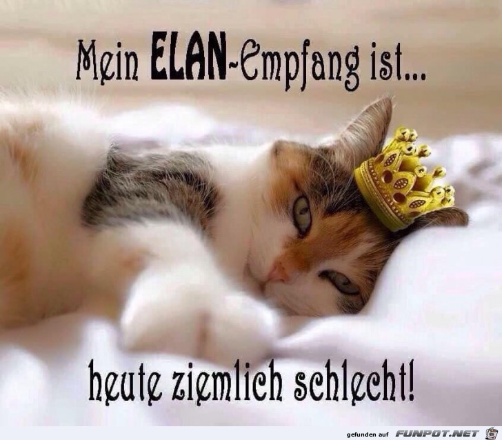 Ziemlich schlechter Empfang Ziemlich schlechter Empfang