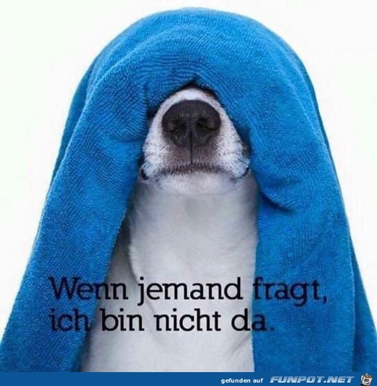 Bin nicht da Bin nicht da