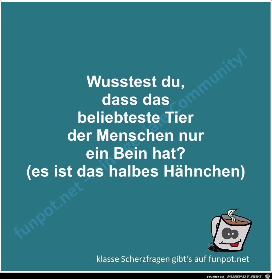 Scherzfrage Scherzfrage