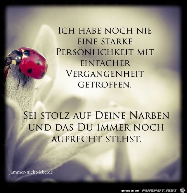 ich habe noch nie ich habe noch nie