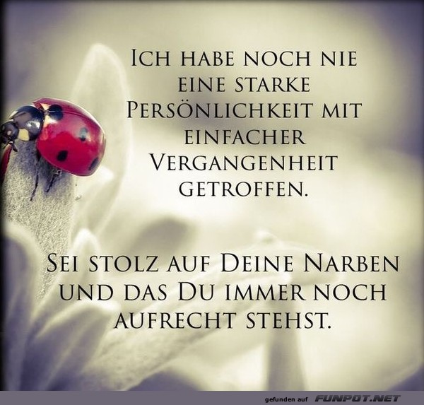 10 sch�ne Spr�che und Lebensweisheiten aus...