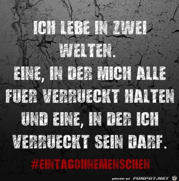 ich lebe in zwei welten ich lebe in zwei welten