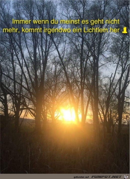 immer wenn du meinst immer wenn du meinst
