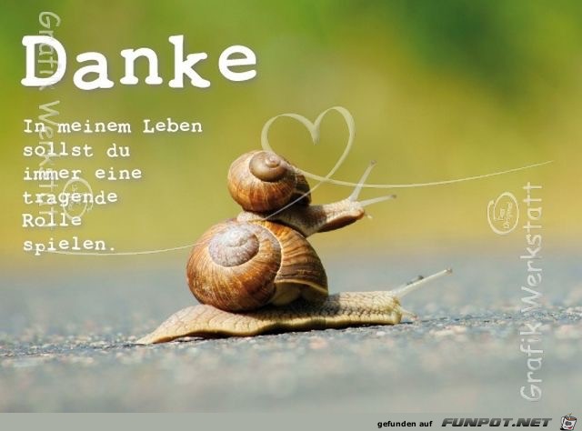 in meinem leben in meinem leben