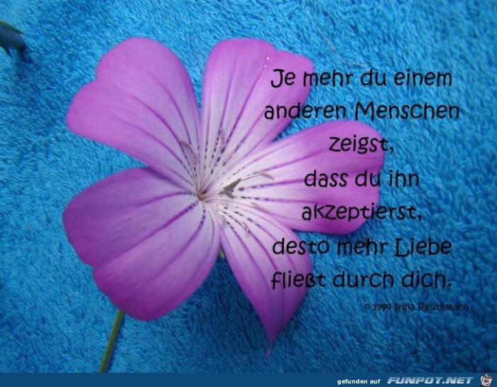 je mehr du einem anderen menschen je mehr du einem anderen menschen