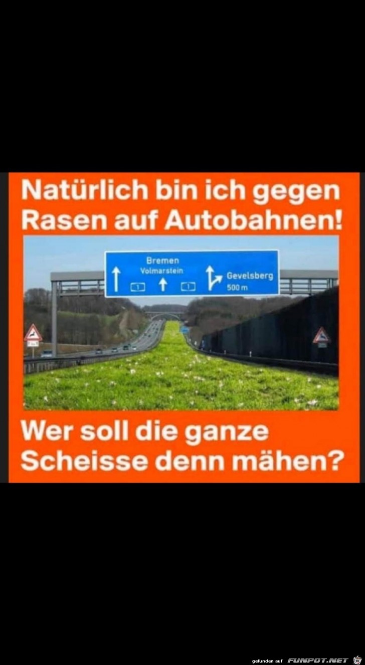 Rasen Rasen