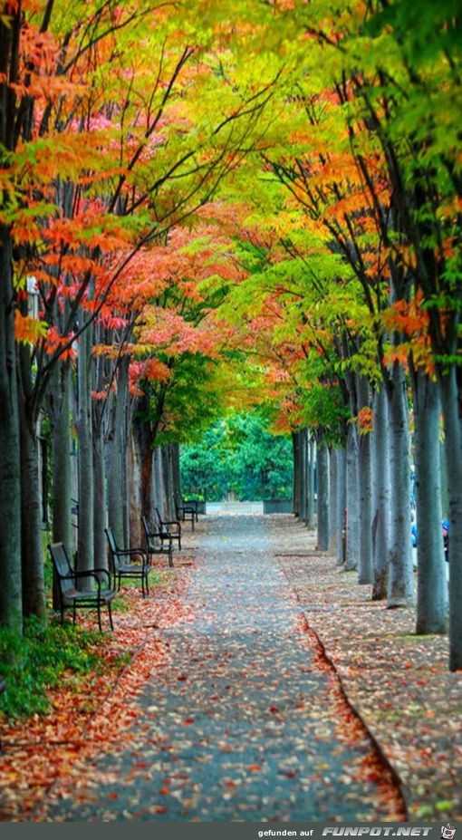 Herbstgasse