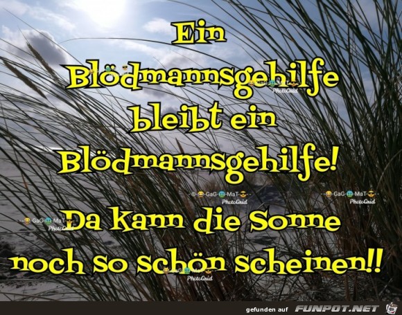 Bloedmannsgehilfe