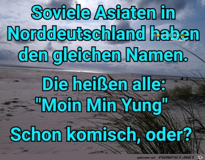 Moin Min Yung