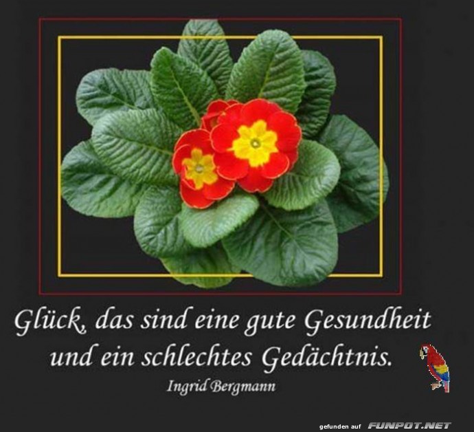 Glueck und Gesundheit Glueck und Gesundheit