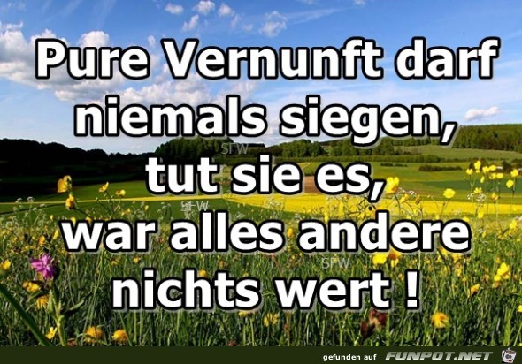 Pure Vernunft Pure Vernunft