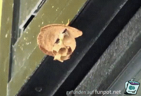 So wird das gebaut So wird das gebaut