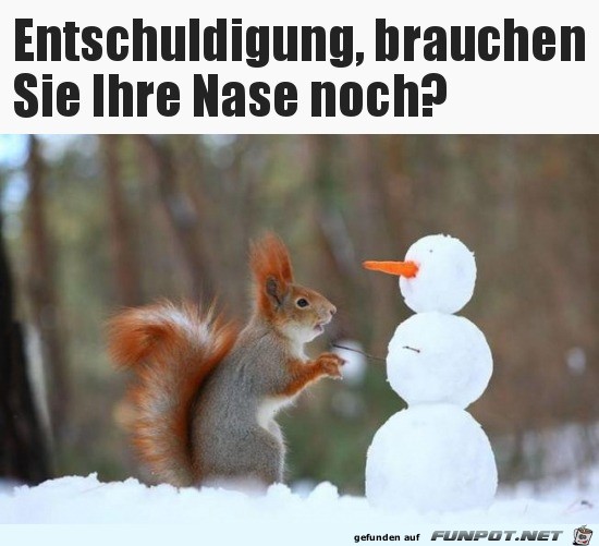 Ich hätte gerne die Nase Ich hätte gerne die Nase