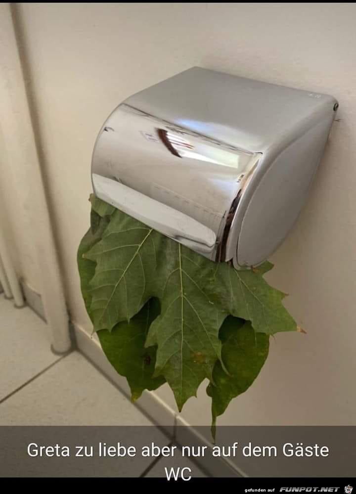Gaeste WC Gaeste WC