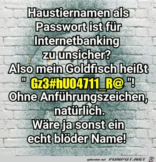 Haustier Name Haustier Name
