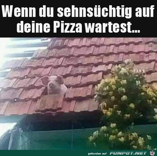 Wann kommt die Pizza Wann kommt die Pizza