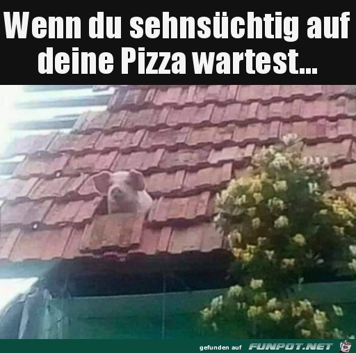 Wann kommt die Pizza