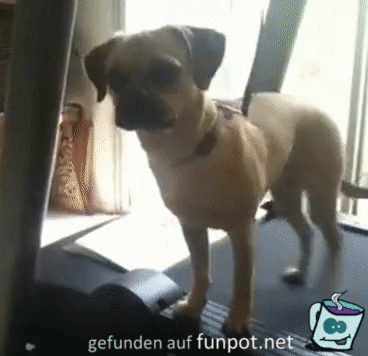 Sehr cool Sehr cool