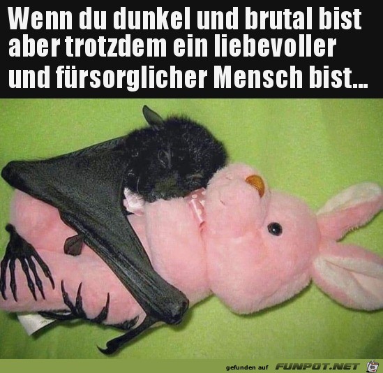 Wie knuffig