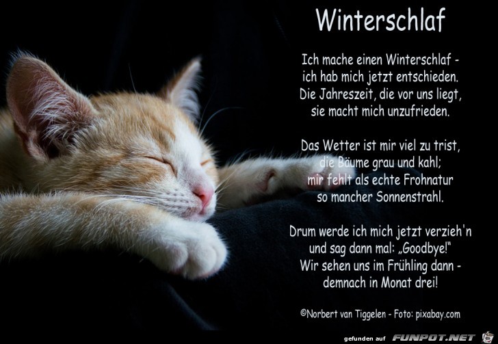 Winterschlaf 2019 Winterschlaf 2019