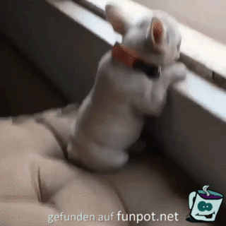 Knuffiger Kerl Knuffiger Kerl