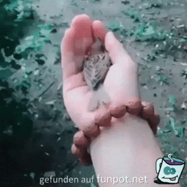 Ich bleibe da Ich bleibe da