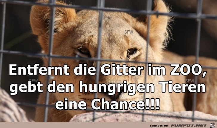Entfernt die Gitter Entfernt die Gitter