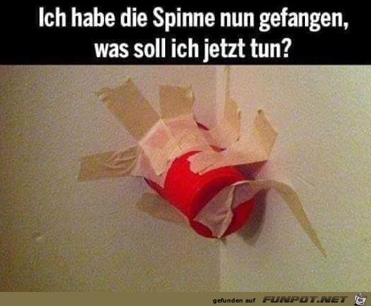 Wie clever Wie clever
