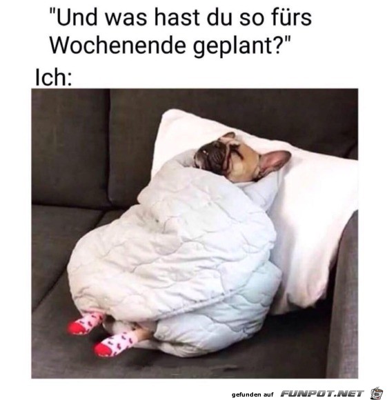 Guter Plan Guter Plan