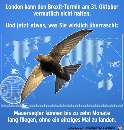 Was wirklich Neues Was wirklich Neues