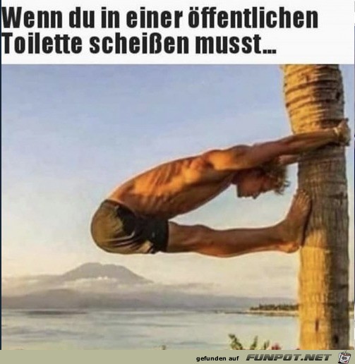 So in etwa sieht das aus