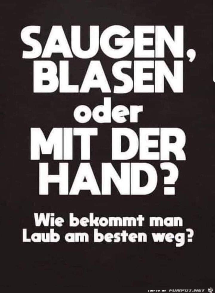 Laub Laub