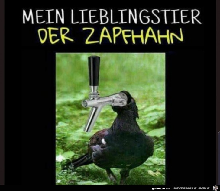 Zapfhahn