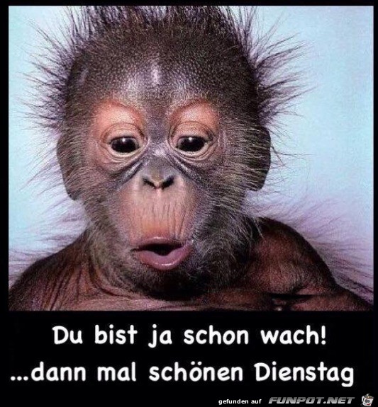 Dienstag