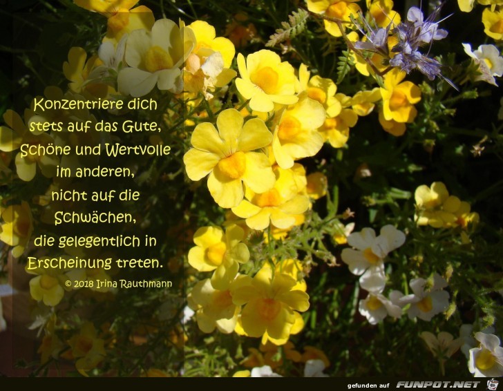 Konzentriere dich Konzentriere dich