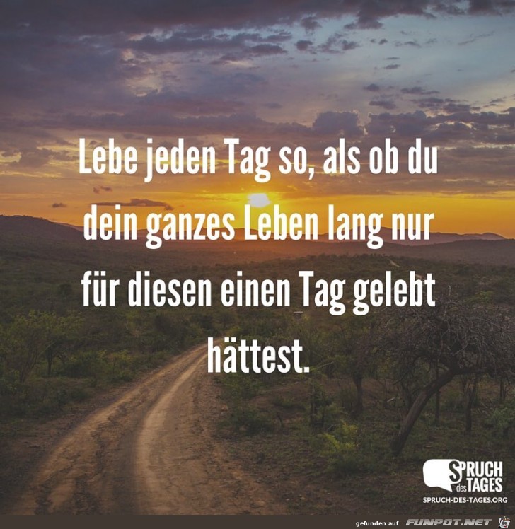 lebe jeden Tag lebe jeden Tag