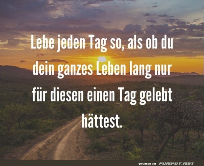 10 sch�ne Spr�che und Lebensweisheiten aus...