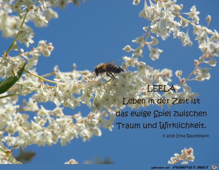 leben in der zeit leben in der zeit