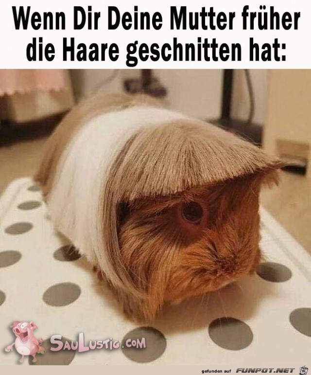 Haare