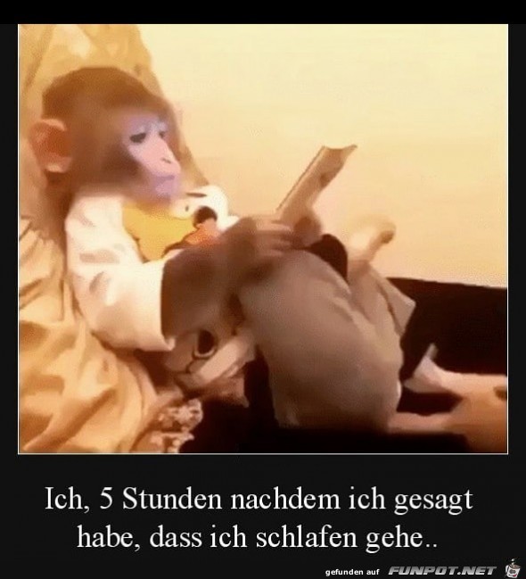 Immer noch beschftigt